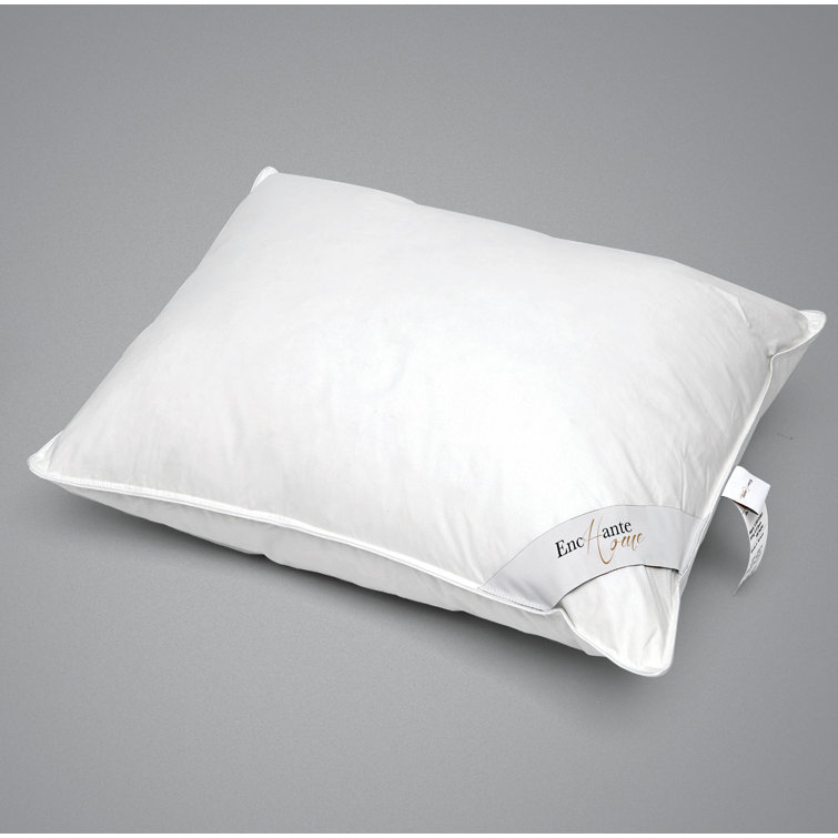 Enchante Home Luxury Goose Feather Support Pillow & Reviews Wayfair